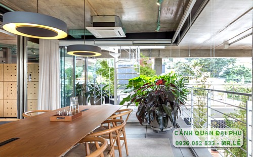 Bảo quản cây cảnh nhựa để trong nhà luôn sạch đẹp