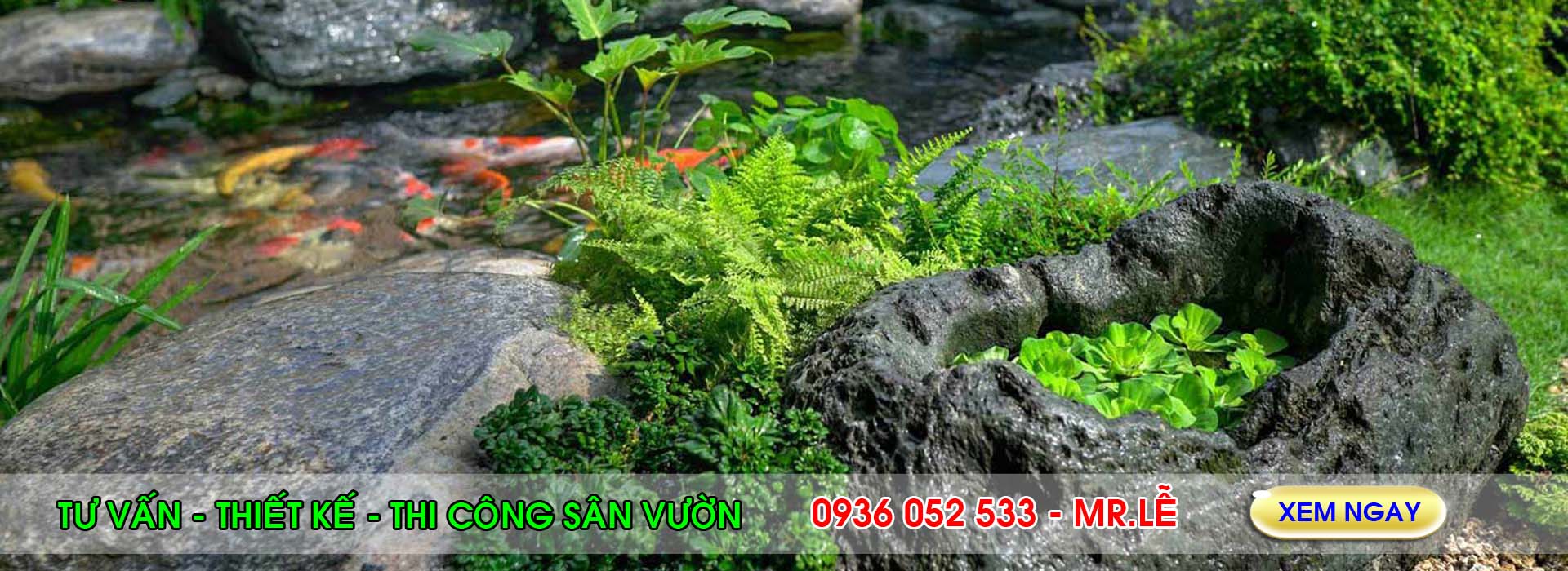 Dịch vụ tư vấn thiết kế thi công sân vườn - dichvucaycanh.vn