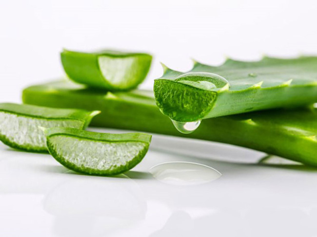 trang trí cây xanh nhà vệ sinh