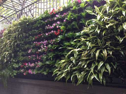 trang trí cây xanh trên tường
