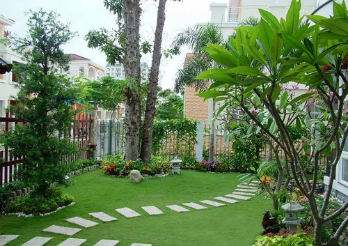 Dịch vụ chăm sóc cây xanh tại Phú Nhuận