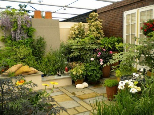 Dịch vụ chăm sóc cây xanh tại Phú Nhuận