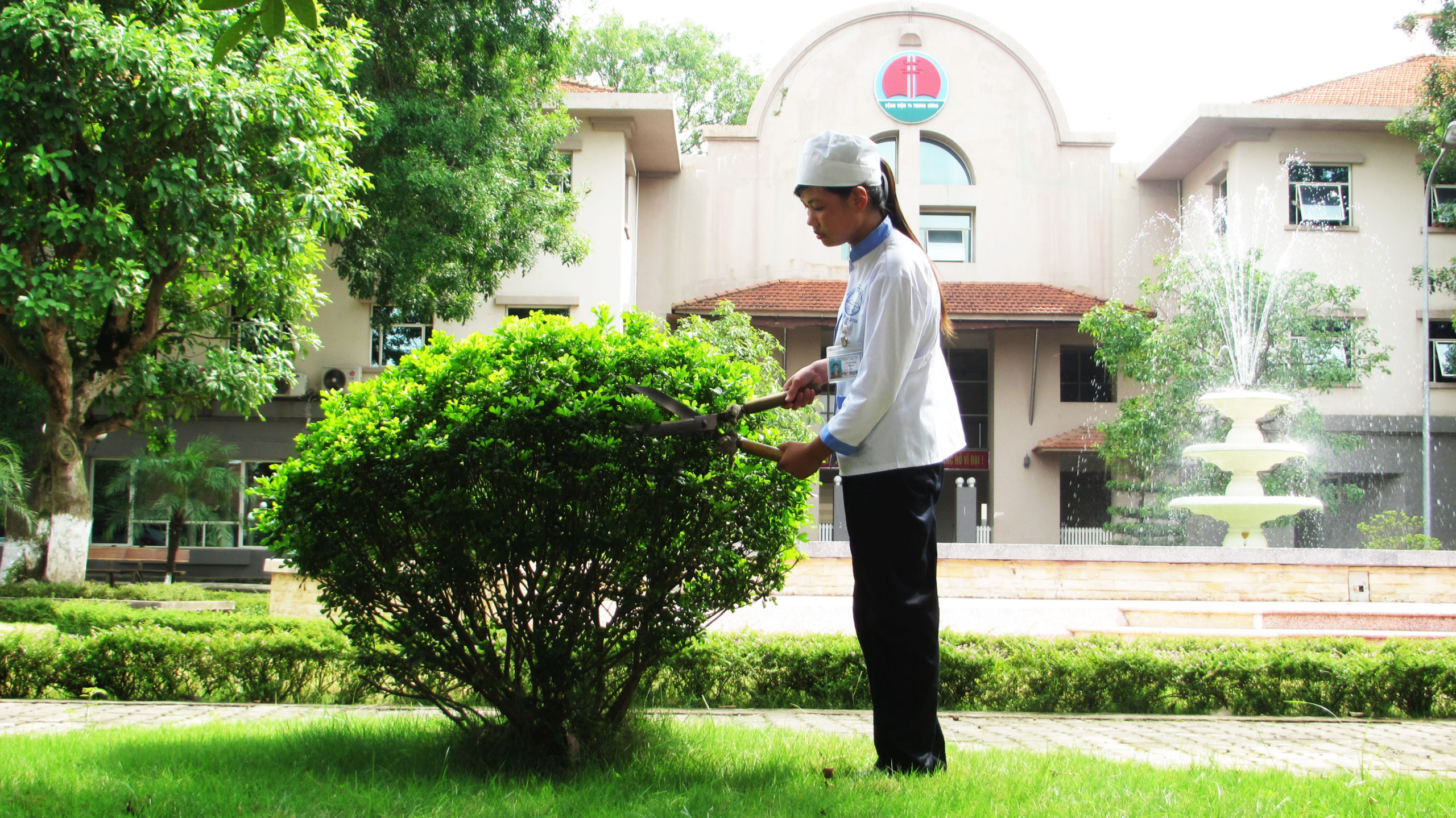 chăm sóc cảnh quan ở đâu uy tín