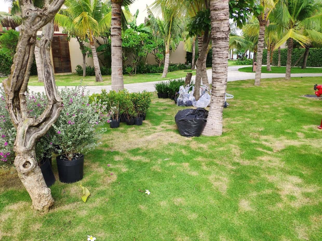 chăm sóc cảnh quan ở đâu uy tín