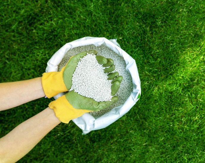 Bón phân cây trồng đúng kỹ thuật, đúng loại