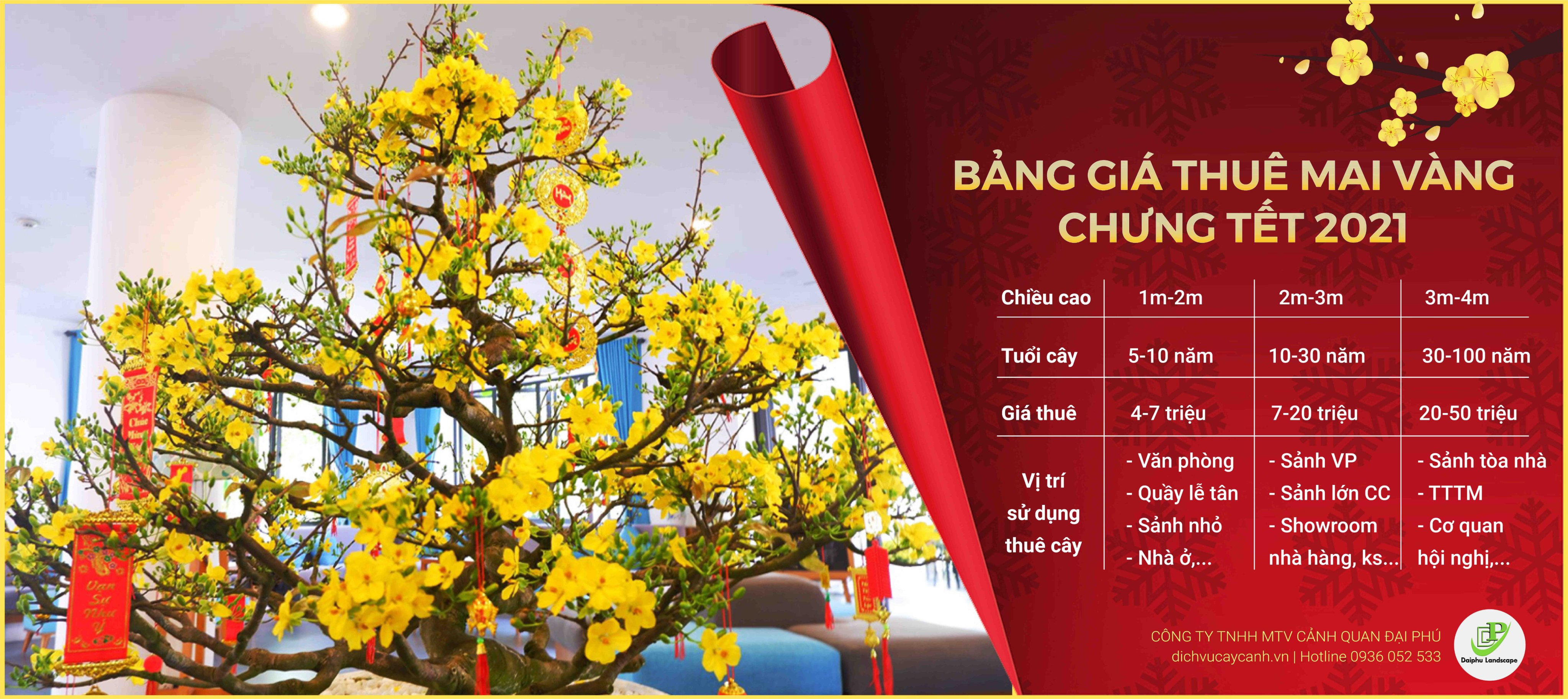 Bảng giá cho thuê mai Tết
