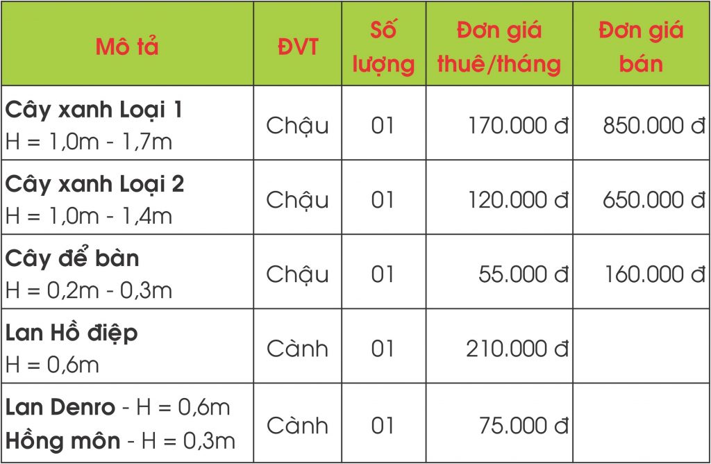 báo giá cho thuê cây cảnh văn phòng