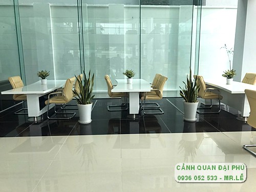 cây cảnh trang trí văn phòng Tp Thủ Đức 