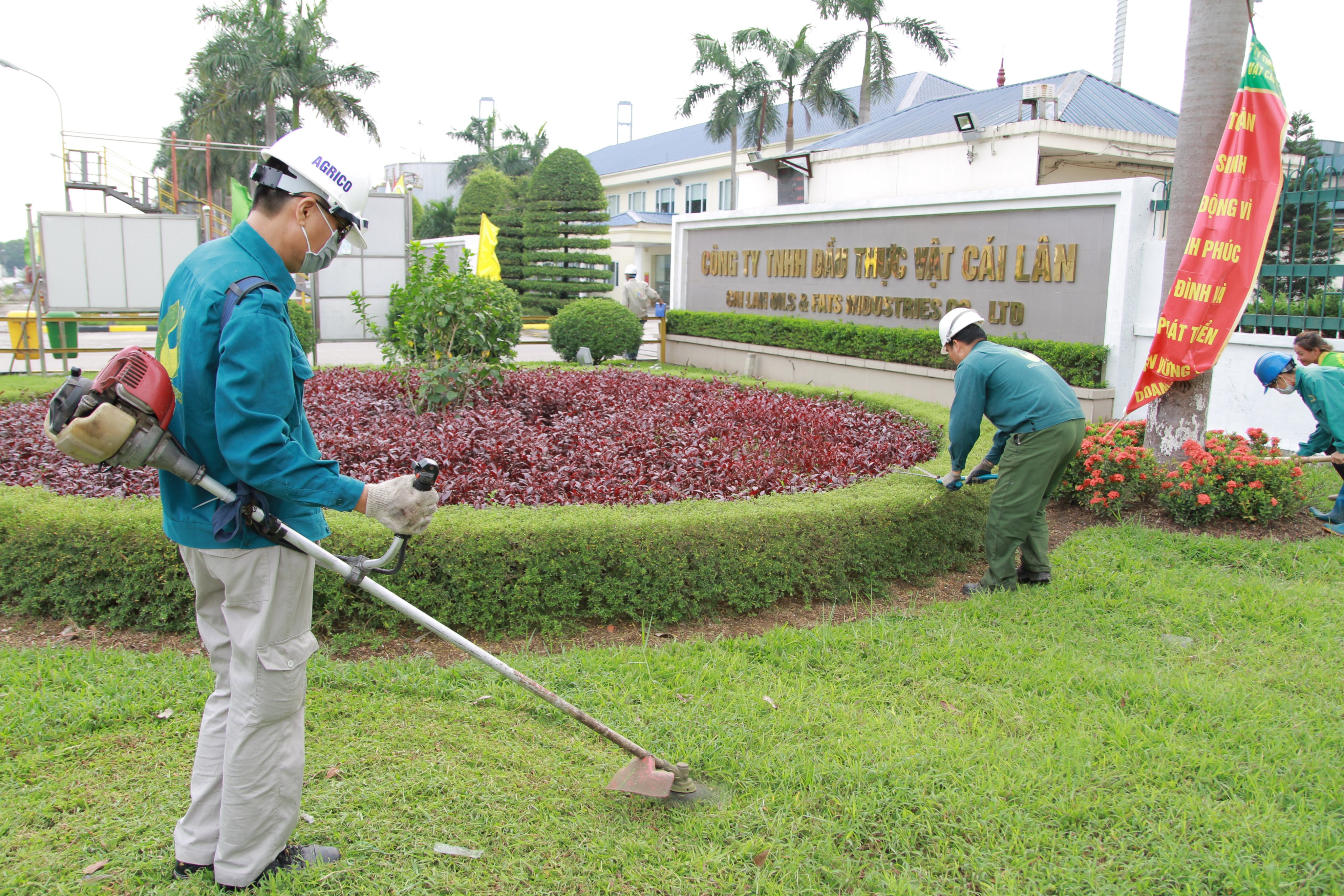 chăm sóc cảnh quan tại Đồng Nai