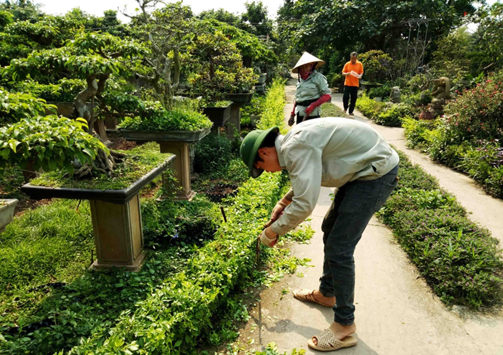 chăm sóc cảnh quan tại Đồng Nai