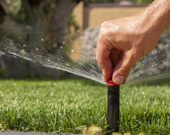 Cần tưới nước thường xuyên và đầy đủ cho sân vườn nhà bạn