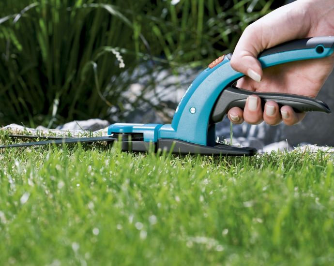 Cắt tỉa cỏ thường xuyên sẽ giúp sân vườn nhà bạn trông đẹp mắt hơn