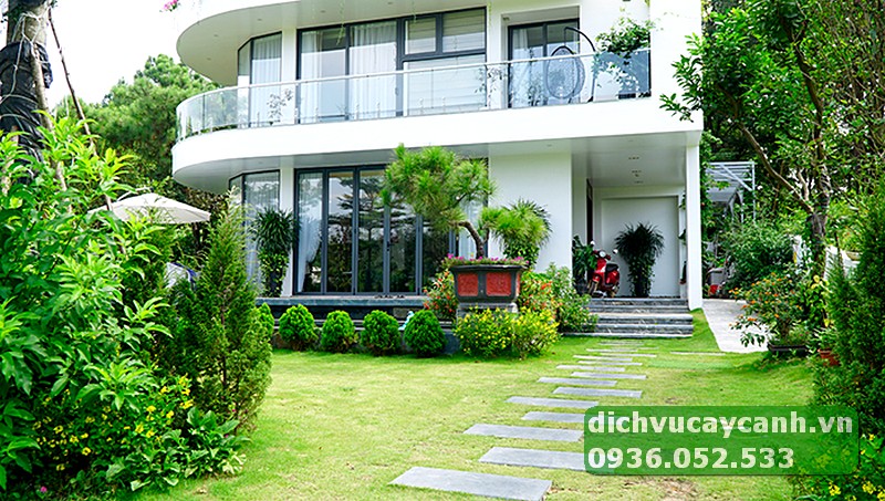 chăm sóc sân vườn giá rẻ tại TP Thủ Đức