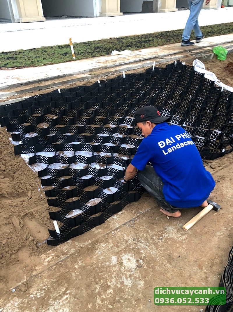 chăm sóc sân vườn giá rẻ tại TpHCM