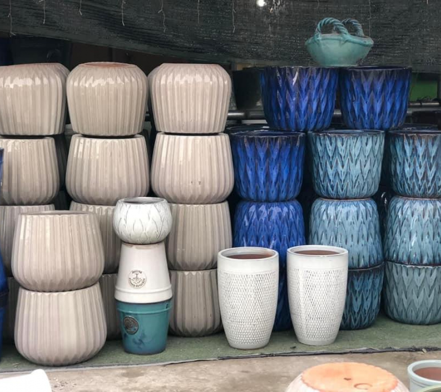 mua chậu cây cảnh đẹp