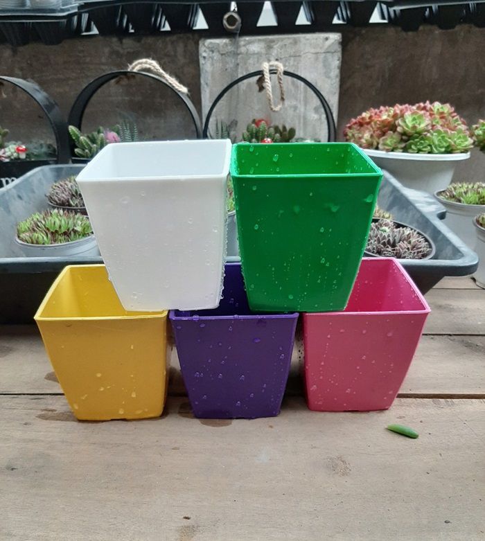 mua chậu cây cảnh đẹp