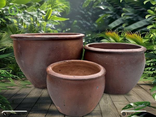 mua chậu cây cảnh đẹp