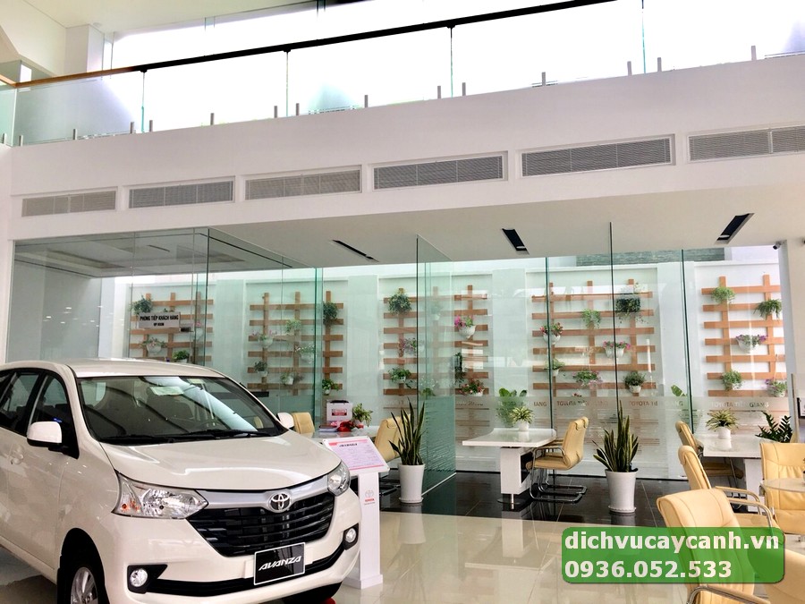 Cho thuê cây cảnh trang trí sự kiện tại TpHCM