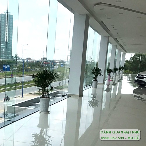 cho thuê cây cảnh trang trí tòa nhà