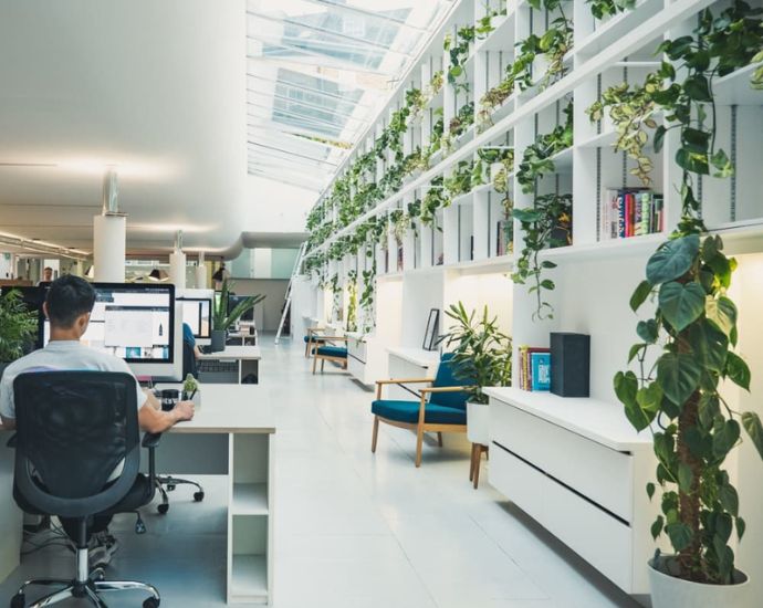 Cho thuê cây cảnh văn phòng giá rẻ tại HCM