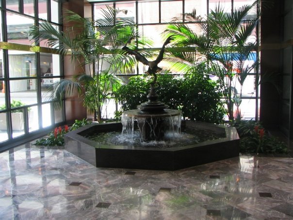 Dịch vụ cho thuê cây cảnh văn phòng nhà bè