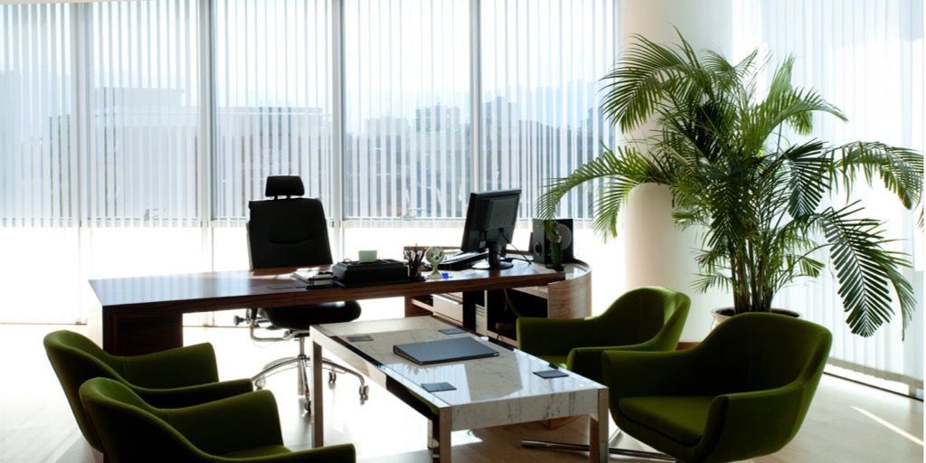 cho thuê cây xanh Bình Dương