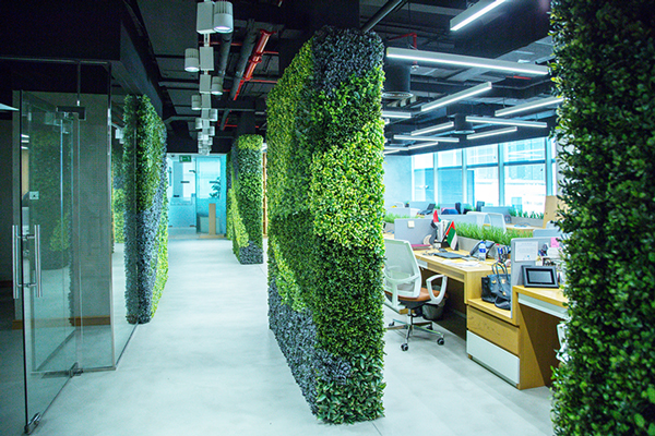 cho thuê cây xanh Bình Dương