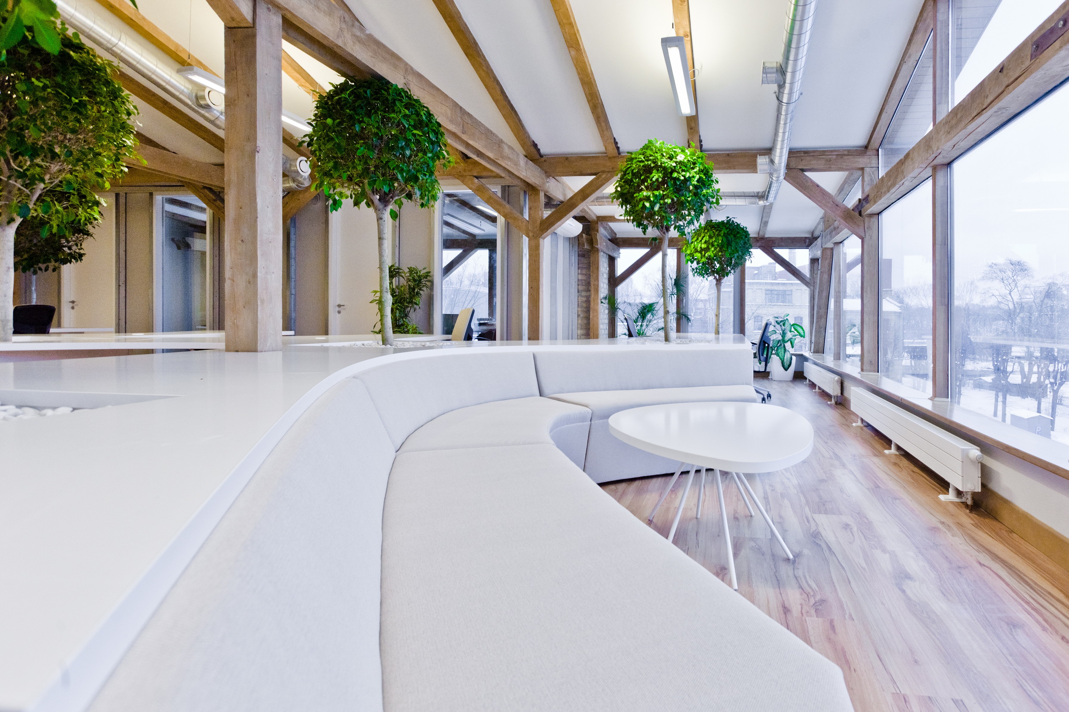 Cây xanh được sắp xếp đúng vị trí sẽ giúp văn phòng sang trọng hơn