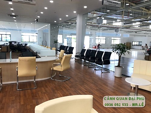 Cây hạnh phúc hợp mệnh gì