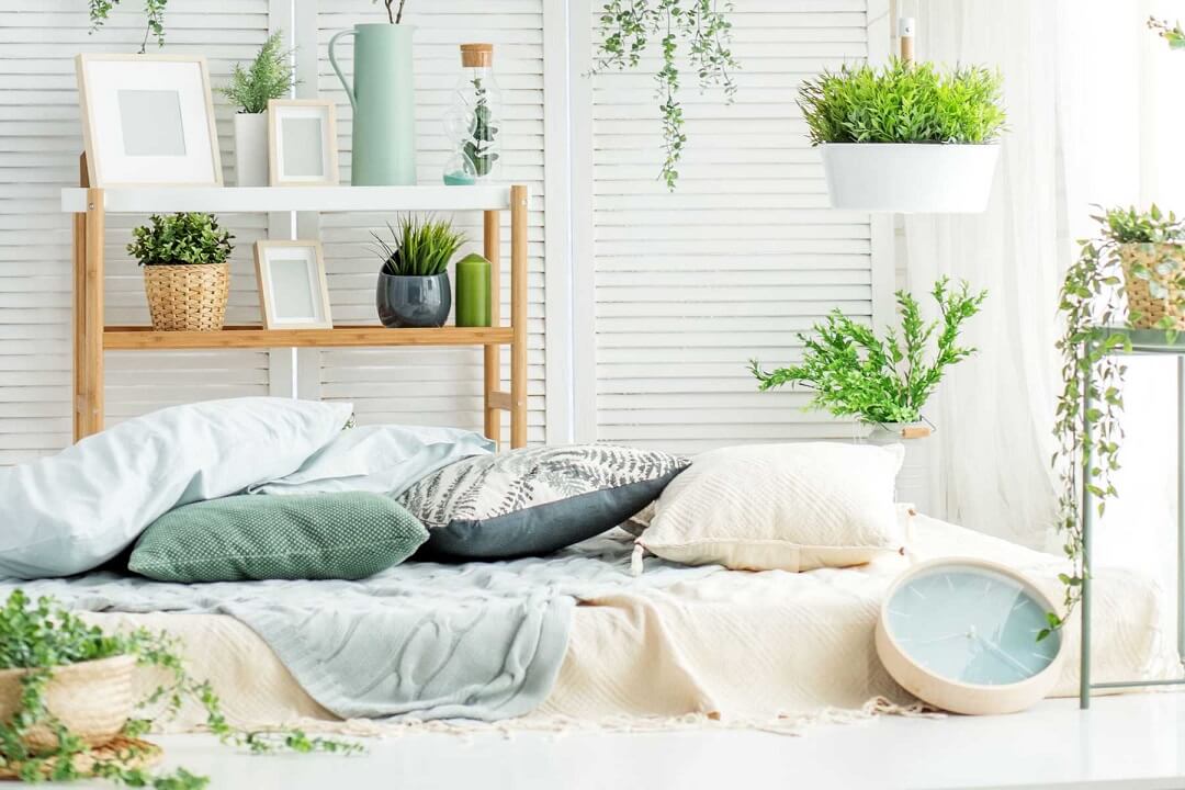Cây trồng trong phòng ngủ giúp không gian thư giãn và thoáng mát hơn.