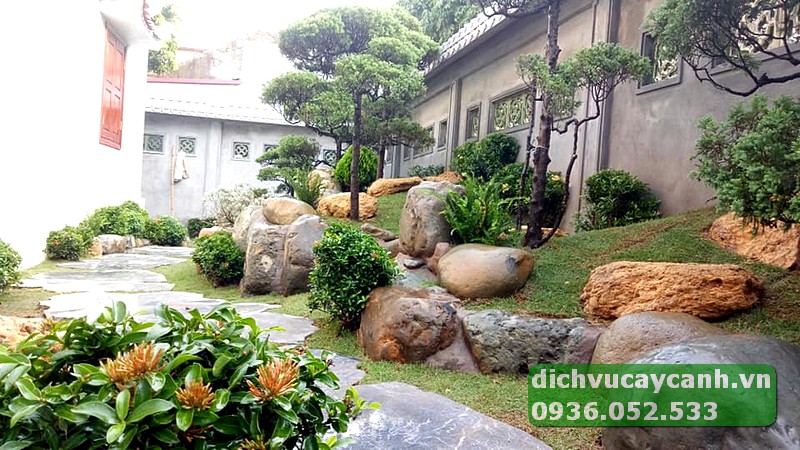 công ty chăm sóc sân vườn TpHCM