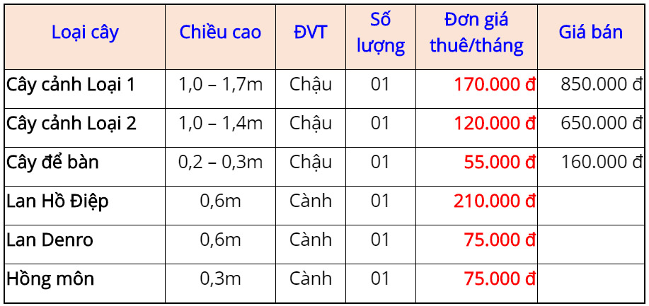 Công ty cho thuê cây cảnh tại thành phố Thủ Đức 
