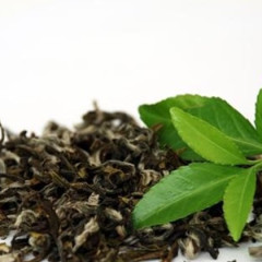 Bã chè xanh bón cây: Giải pháp hữu cơ cho vườn phát triển bền vững