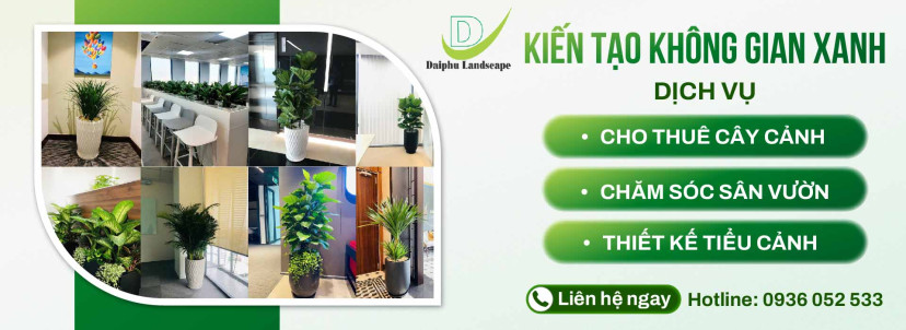 Dịch vụ cho thuê cây cảnh