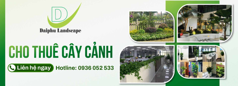 Cho thuê cây cảnh văn phòng