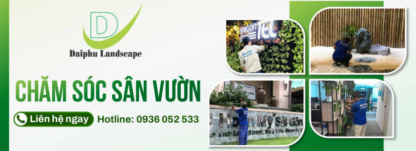 Dịch vụ chăm sóc cây cảnh, sân vườn chuyên nghiệp