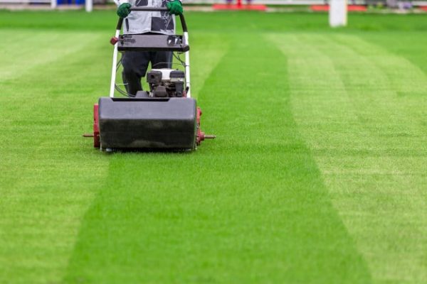 Tại sao nên lựa chọn dịch vụ cắt cỏ chuyên nghiệp?