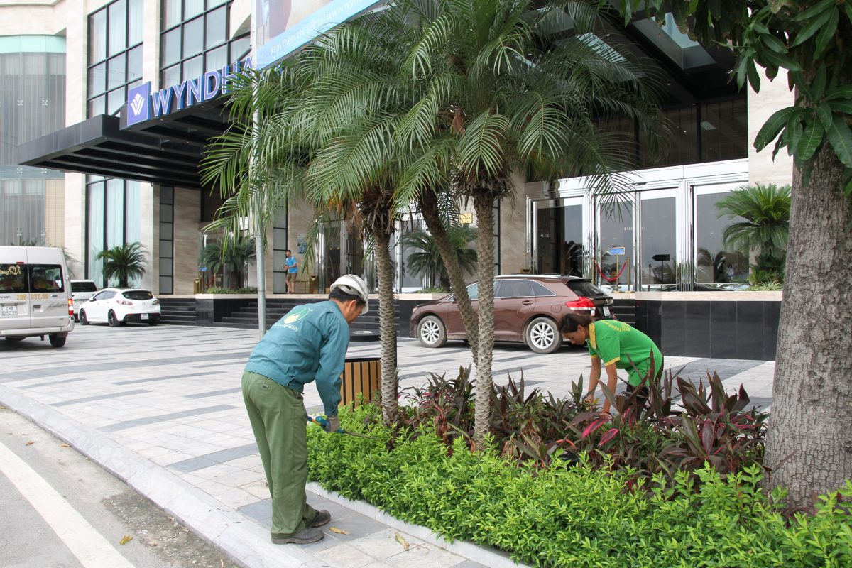 dịch vụ chăm sóc cảnh quan tại Dĩ An