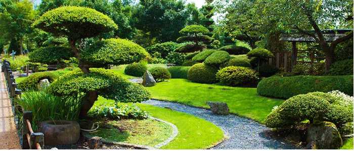 dịch vụ chăm sóc cảnh quan tại quận 12 