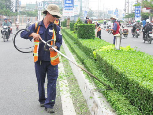 dịch vụ chăm sóc cảnh quan tại quận 12 