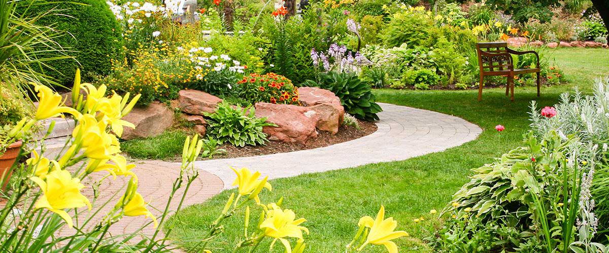 dịch vụ chăm sóc cảnh quan tại quận 9