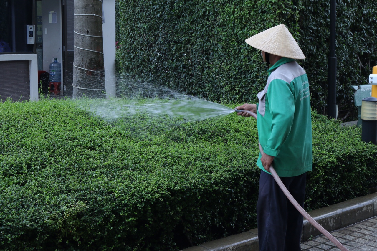 Dịch vụ chăm sóc cảnh quan tại Tân Phú