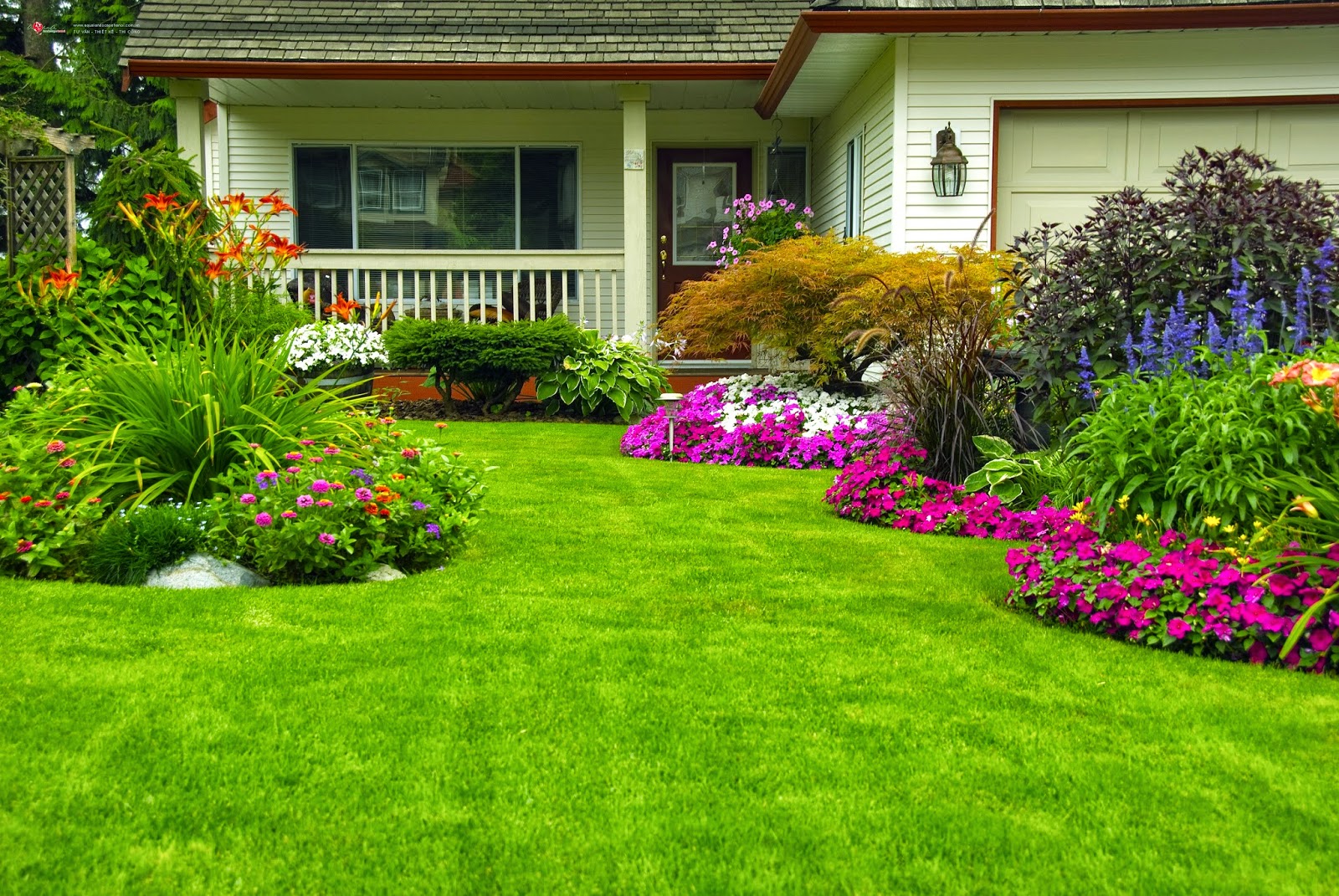 dịch vụ chăm sóc cảnh quan tại Thủ Đức