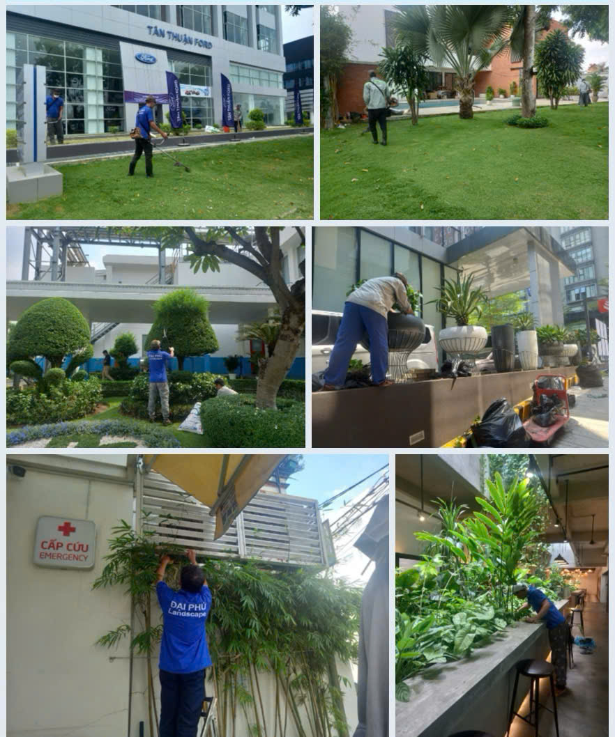 Uốn cây cảnh hình con vật đẹp