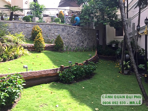 Dịch vụ chăm sóc cây cảnh uy tín