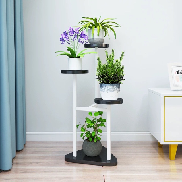 dịch vụ chăm sóc cây xanh tại quận 10