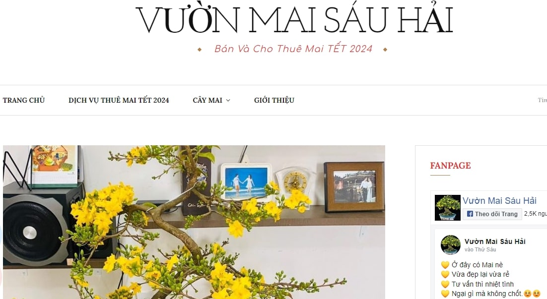 dịch vụ chăm sóc mai sau Tết