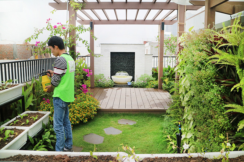 dịch vụ chăm sóc sân vườn biệt thự