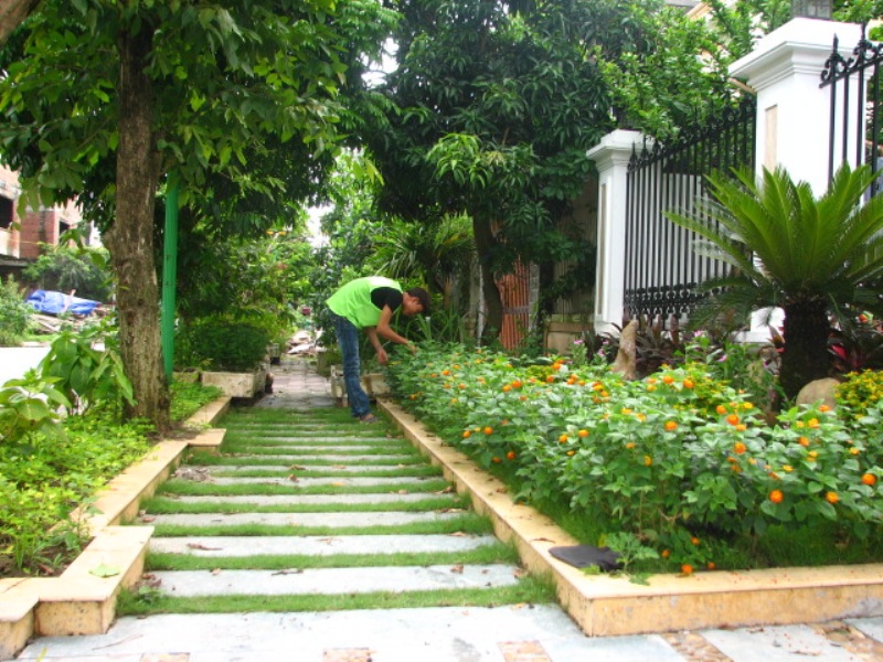 dịch vụ chăm sóc sân vườn biệt thự