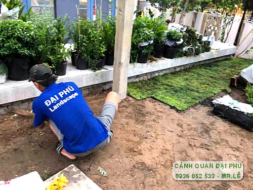 dịch vụ chăm sóc sân vườn biệt thự TpHCM
